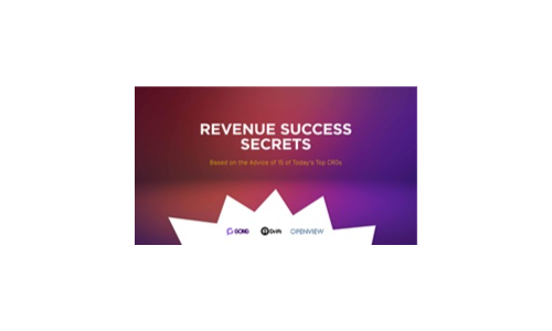 Revenue Success Secrets